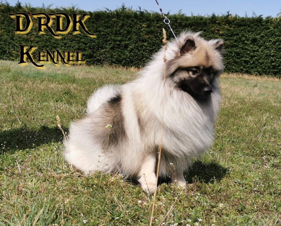 jefeli soul Afina (dite nymeria)