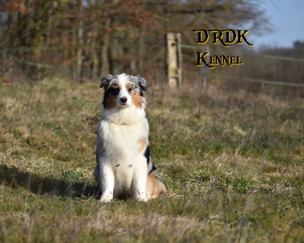 Saving all my love for you (dite lola) Du Royaume Des Khaleesis