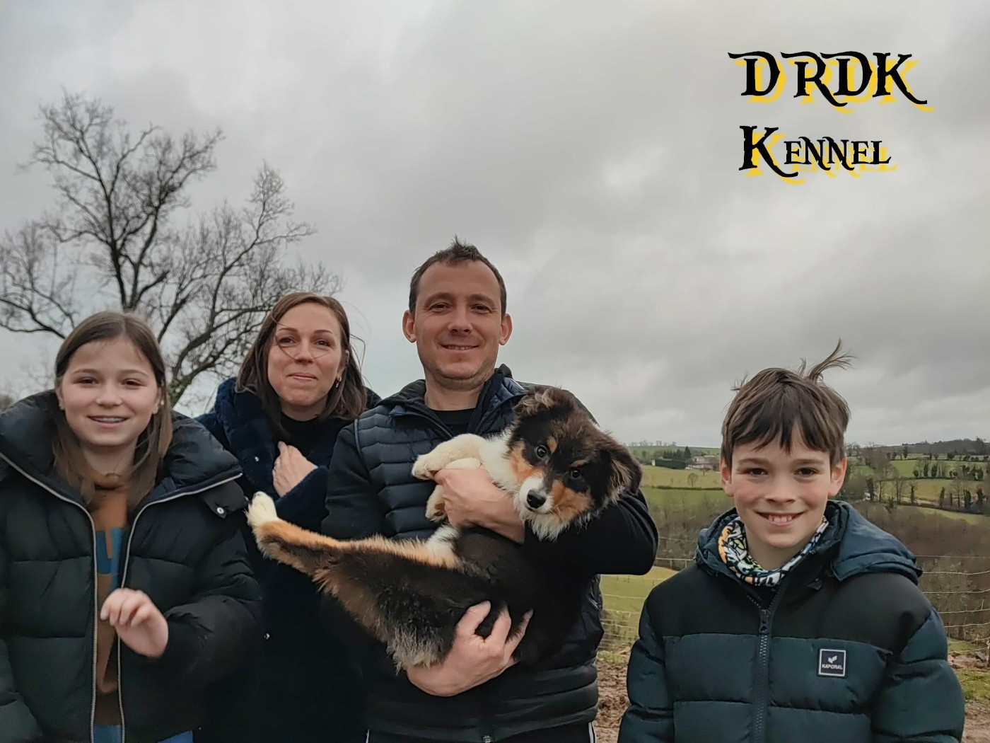 Du Royaume Des Khaleesis - Berger Australien - Portée née le 23/08/2025