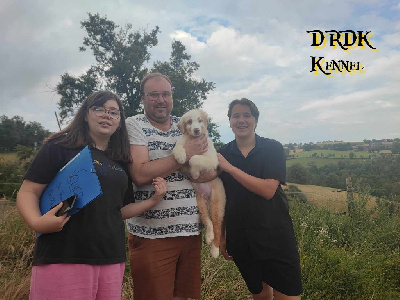 VELVET du Royaume des Khaleesis