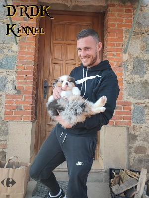 SMOOKY du Royaume des Khaleesis