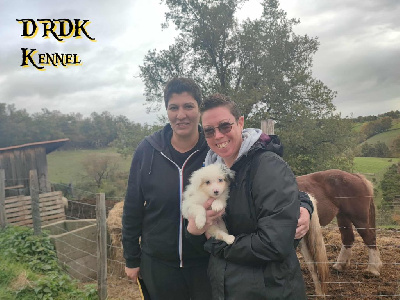 ALPHA du Royaume des Khaleesis