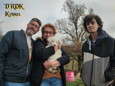 APOLLO du Royaume des Khaleesis