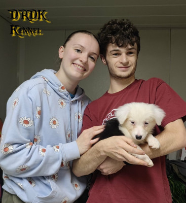 ARLETTE du Royaume des Khaleesis