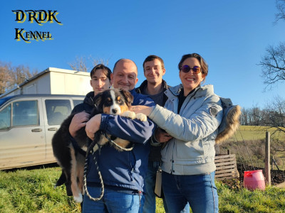 ARGOS du Royaume des Khaleesis