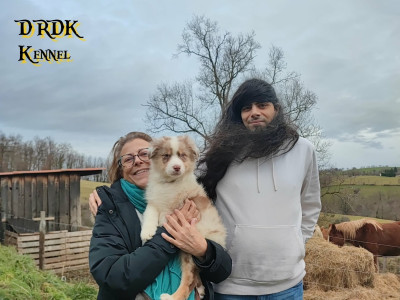 ACHILLE Du Royaume des Khaleesis