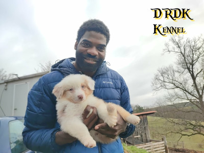 A'SORA Du Royaume des Khaleesis