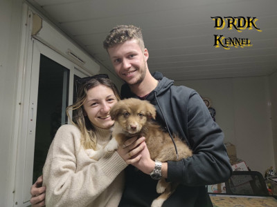 ACE Du Royaume des Khaleesis