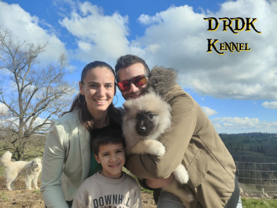 ARLO Du Royaume des Khaleesis