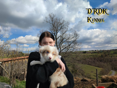 A'ROBIN Du Royaume des Khaleesis