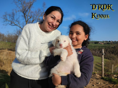 AKYRA Du Royaume des Khaleesis