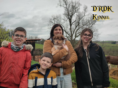 A'DOLLY Du Royaume des Khaleesis