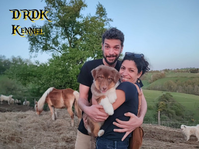 AIKO 5 Du Royaume des Khaleesis