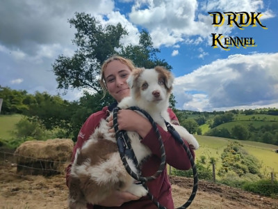 A'KENAÏ Du Royaume des Khaleesis