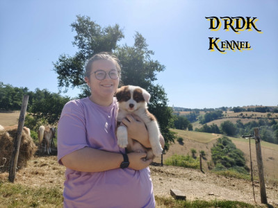 BELLE du Royaume des Khaleesis