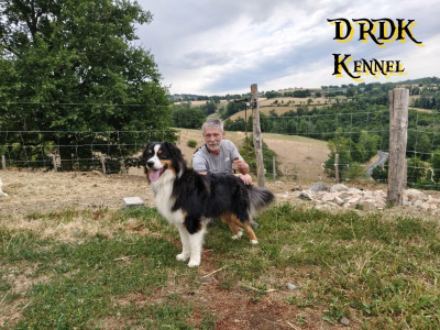 ARY du Royaume des Khaleesis