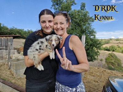 BLUEY du Royaume des Khaleesis
