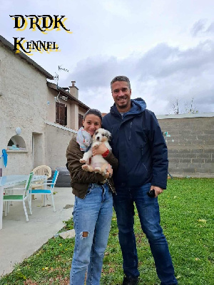 ARYA du Royaume des Khaleesis