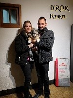 ROSKAU du Royaume des Khaleesis