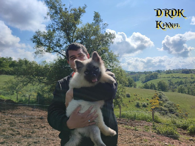 ASKO du Royaume des Khaleesis