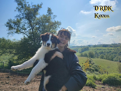 VELOURS du Royaume des Khaleesis