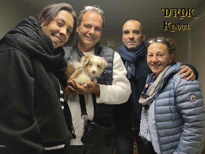 APPY du Royaume des Khaleesis