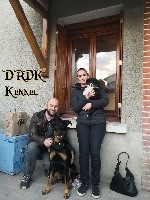 ROVER du Royaume des Khaleesis