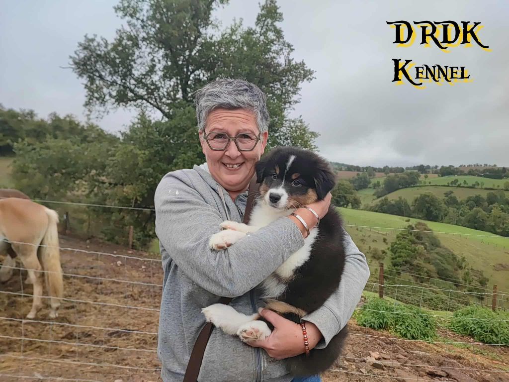 Du Royaume Des Khaleesis - Berger Australien - Portée née le 15/07/2025